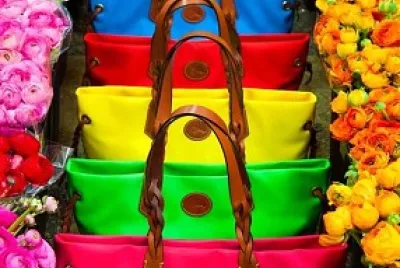 Rainbow Purses
