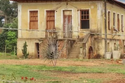abandono