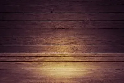 Toy