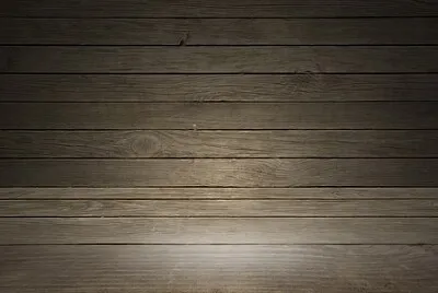 Toy