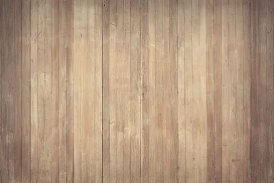 Toy