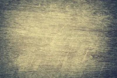 Toy