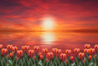 Foto jigsaw puzzle