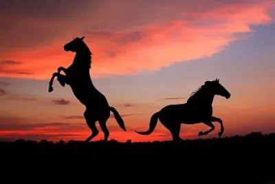 Caballos