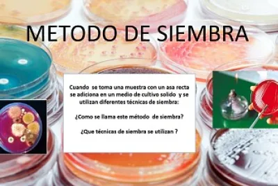 פאזל של BIOTECNOLOGIA