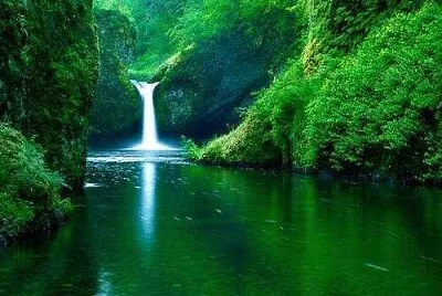 paisagem linda jigsaw puzzle
