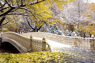 paisagem linda