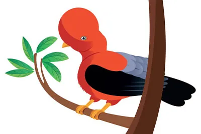 GALLITO DE LAS ROCAS jigsaw puzzle
