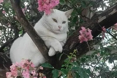 202