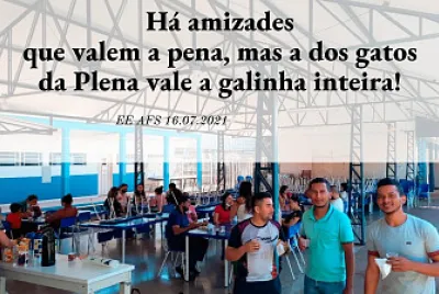 Gatos da Plena