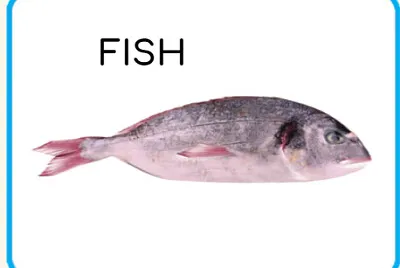fish