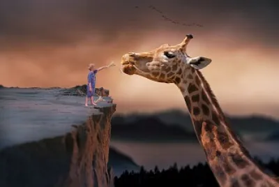 Girafa jigsaw puzzle