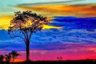 Paisajes de Venezuela