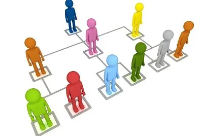 organización