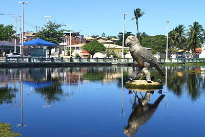 Praia de...