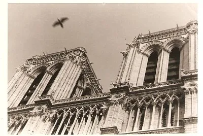 1975 Notre Dame, París