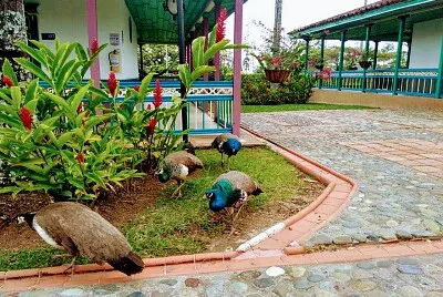 פאזל של CASA CAMPESTRE