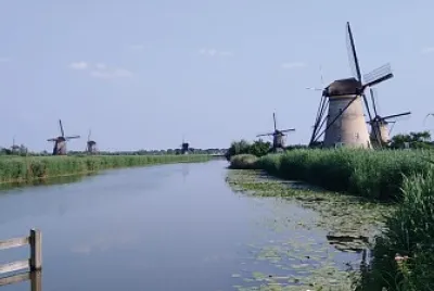 mulino