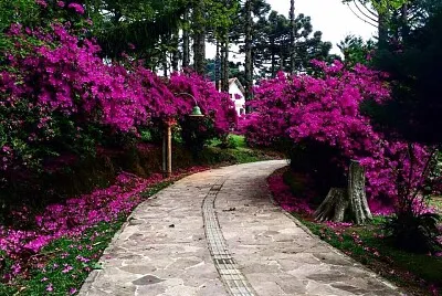 caminho