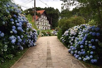 paraiso