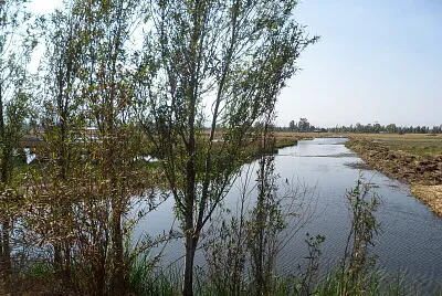 Paisajes humedales CDMX