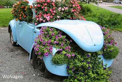 Wolvagen fleurie jigsaw puzzle