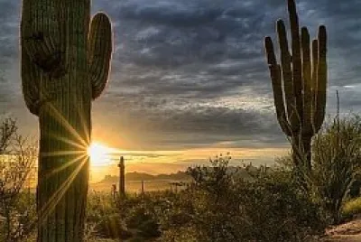 Desierto