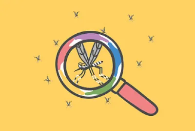 Mosquito Dengue jigsaw puzzle