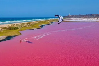 Salinas rosadas, Venezuela