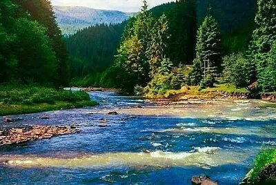 imagem jigsaw puzzle