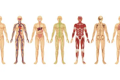 Sistemas jigsaw puzzle