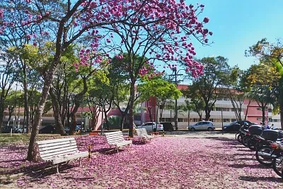 ufmg