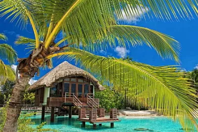 Palm Resort
