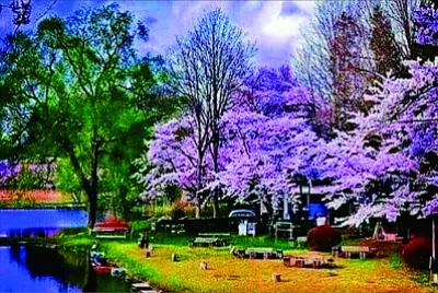 風景