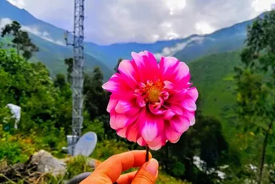 Hermosa Flor jigsaw puzzle