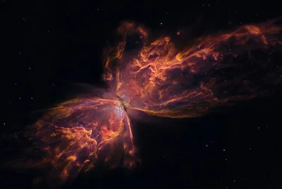 Butterfly Nebula