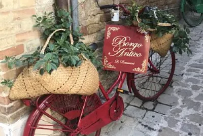 bicicletta rossa floreale