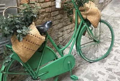 פאזל של bicicletta floreale verde