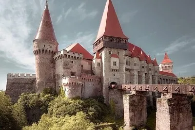 224