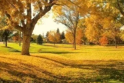 349 jigsaw puzzle