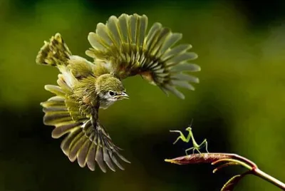 rencontre