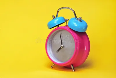 Toy