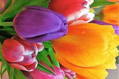 Foto jigsaw puzzle