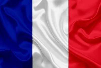 FRANÇA jigsaw puzzle