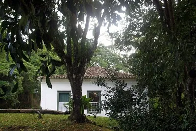 פאזל של NATUREZA