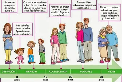 desarrollo