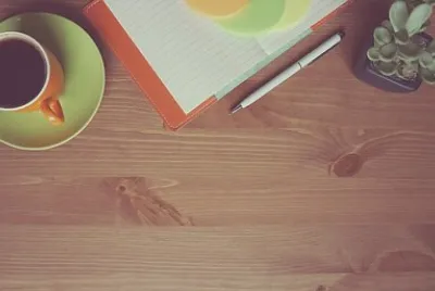 Toy