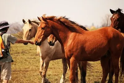 Foto jigsaw puzzle
