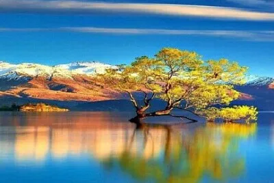 Foto jigsaw puzzle
