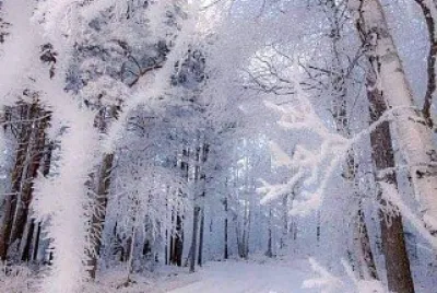 tarde nevada jigsaw puzzle